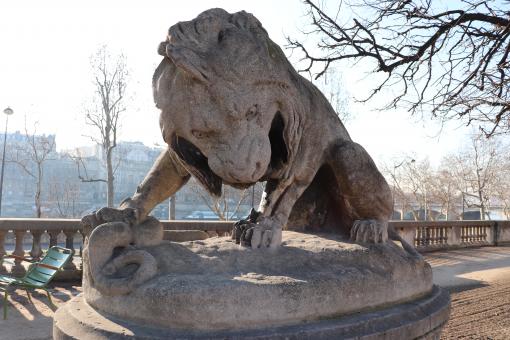 Nasty lion... Don't get too close! - Free Stock Photo