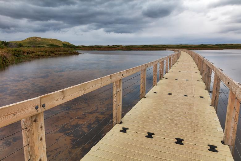 Free stock image of Bowley Pond Boardwalk Trail created by Nicolas Raymond
