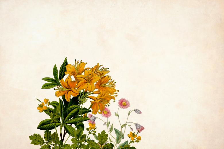 Free stock image of Yellow Floral Paper Background created by mohamed hassan