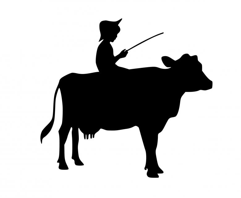 Free stock image of Boy Riding Cow Silhouette created by mohamed hassan
