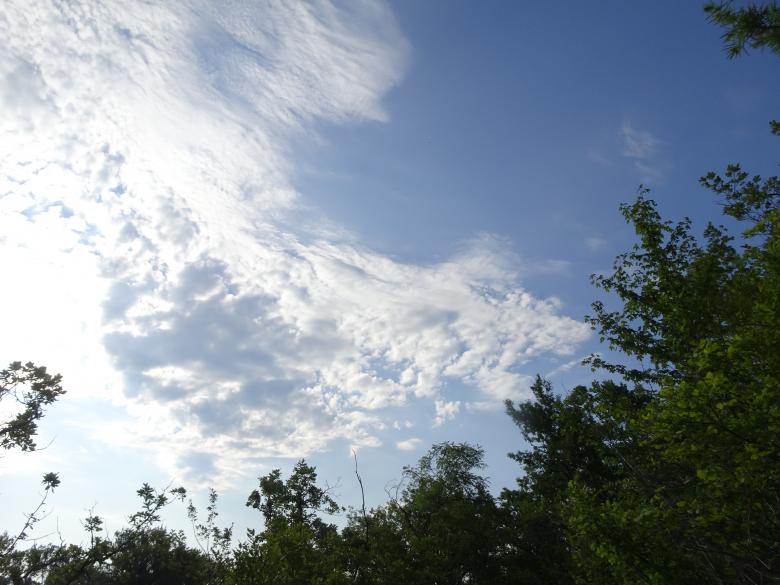 Free stock image of Nice clouds above woods created by GAIMARD Jacques