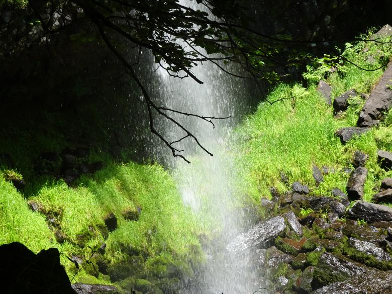 Free stock image of Waterfall make a "tropical" vegetation created by GAIMARD Jacques