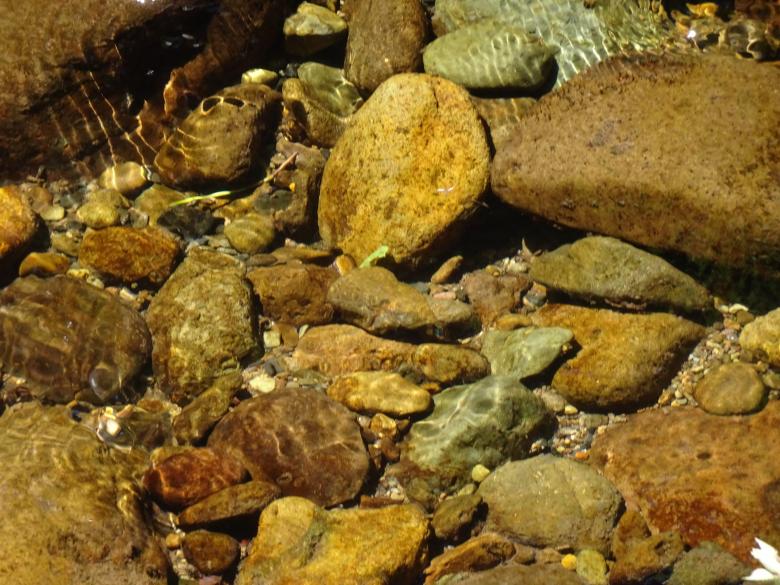 Free stock image of Spring water so clear like if there were none! created by GAIMARD Jacques