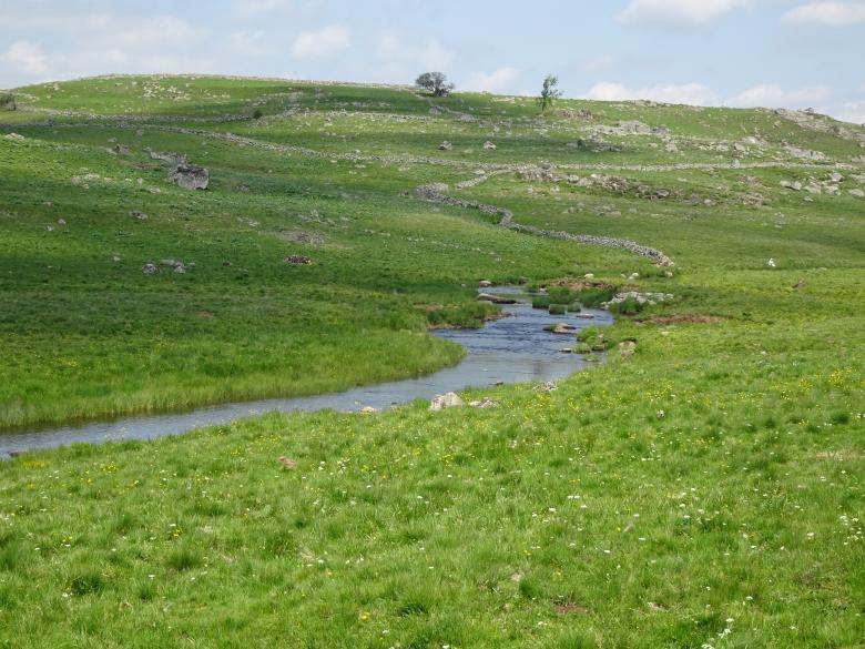 Free stock image of The little stream in the prairie! created by GAIMARD Jacques