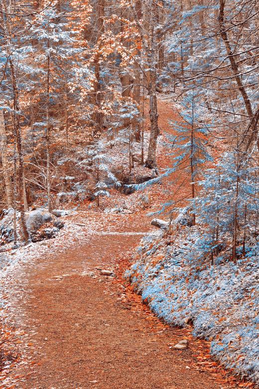 Free stock image of Winding Winter Wonderland created by Nicolas Raymond