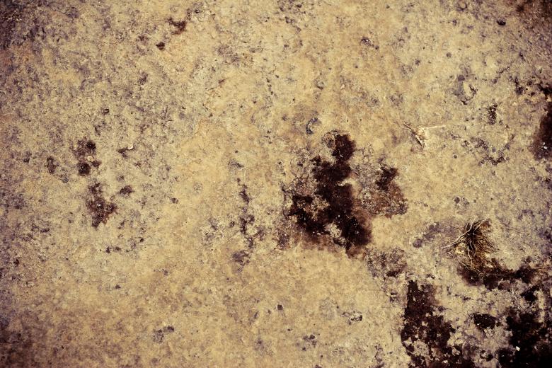 Free stock image of Dry Mud Floor created by Bjorgvin