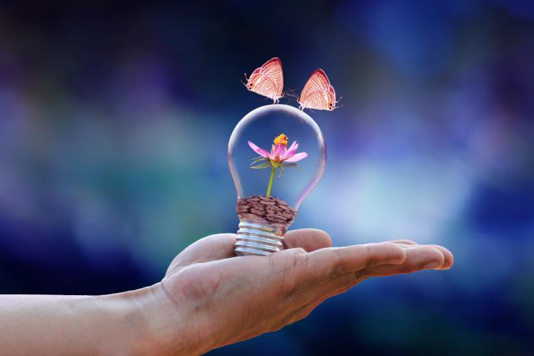 Free stock image of Save Ecology Concept created by Kharis Agustiar