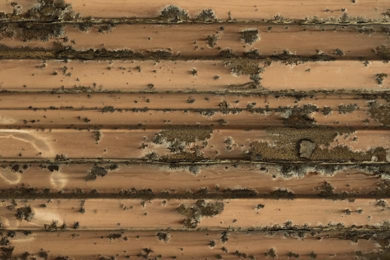 Free stock image of Rusted Surface created by Bjorgvin