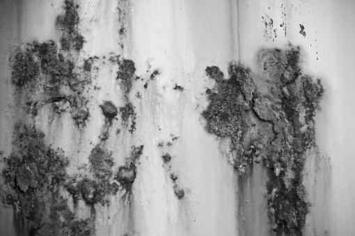 Free Stock Photo of Monochrome Rusted Metal