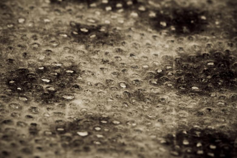 Free stock image of Dark Fish Skin Background created by Bjorgvin