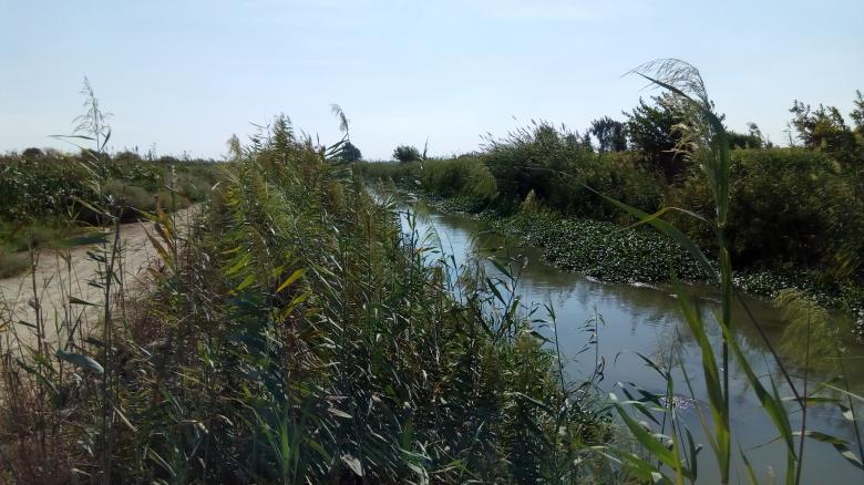 Free stock image of Watercourse created by mahmoud Mohammed