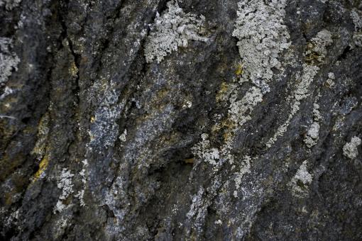 Free Stock Photo of Old Icelandic Lava Rock