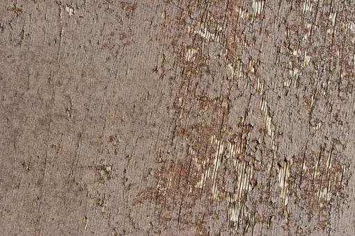 Cracked Dry Wood - Free Stock Photo