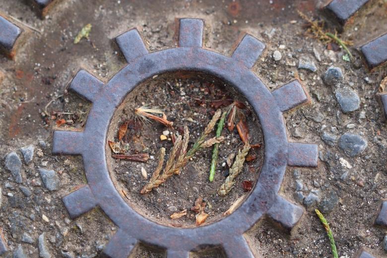 Free stock image of Sewage plaque close-up created by GAIMARD Jacques