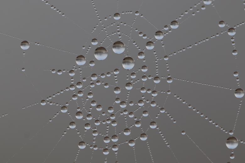 Free stock image of Planets or droplets? created by GAIMARD Jacques