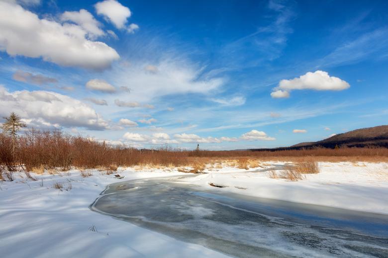 Free stock image of Blackwater Winter River created by Nicolas Raymond