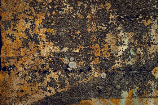 Free Stock Photo of Grunge Yellow Concrete