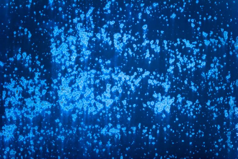 Free stock image of Blue Corrosion created by Bjorgvin