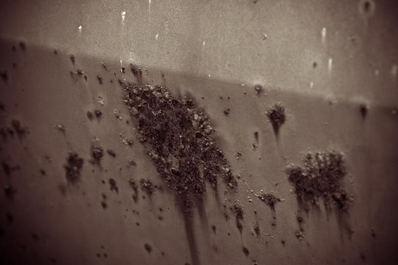 Free stock image of Corroded Car Door created by Bjorgvin