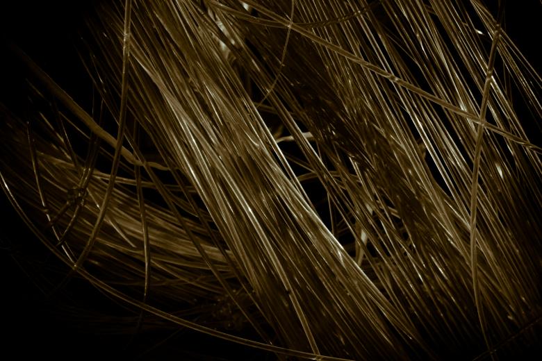 Free stock image of Thin Plastic Strings created by Bjorgvin