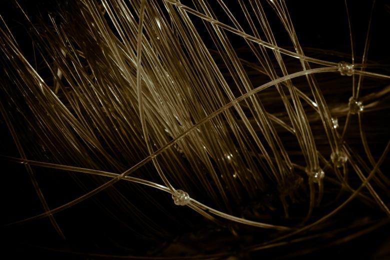 Free stock image of Dark Plasting Strings created by Bjorgvin
