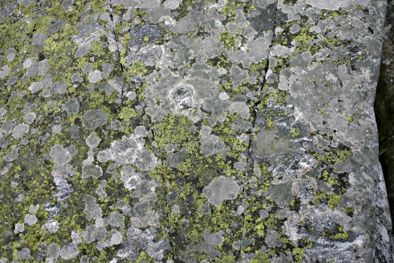 Free stock image of Rock with Lichen created by Bjorgvin