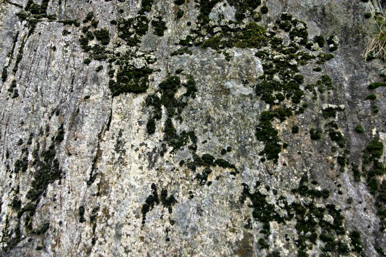 Free stock image of Rock Surface with Moss created by Bjorgvin