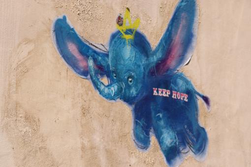 The blue elephant!! - Free Stock Photo