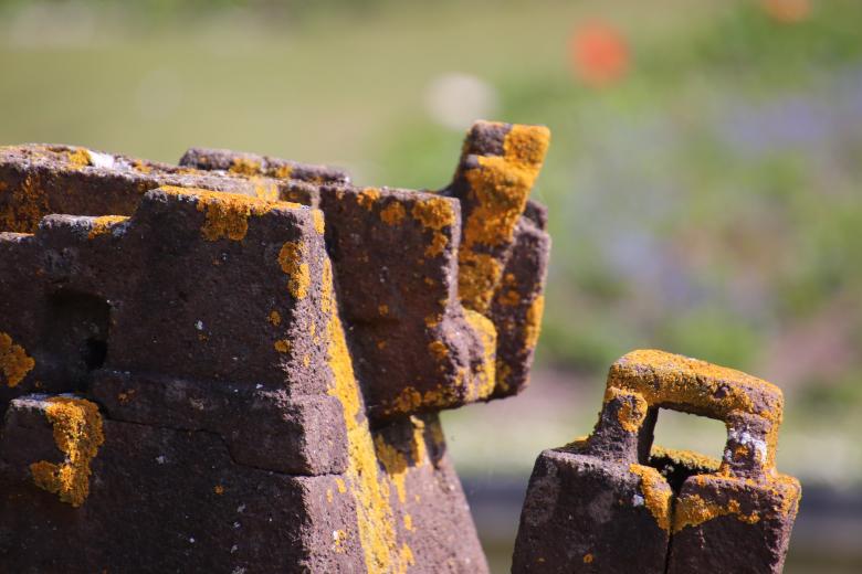 Free stock image of Lichen on a rusted iron structure created by GAIMARD Jacques