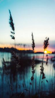 Free Stock Photo of Sunset