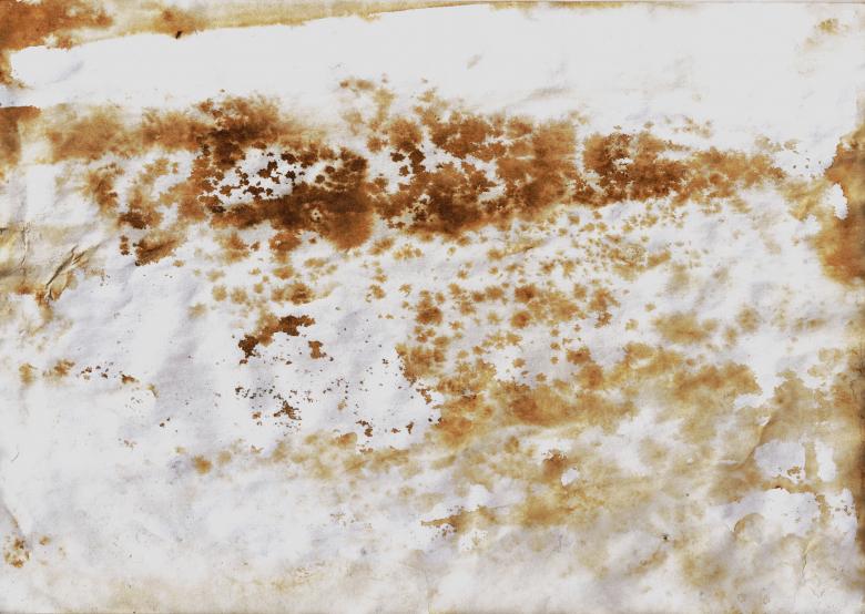Free stock image of Grunge White Paper created by Bjorgvin