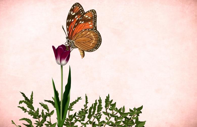 Free stock image of Vintage Flower and Butterfly created by mohamed hassan