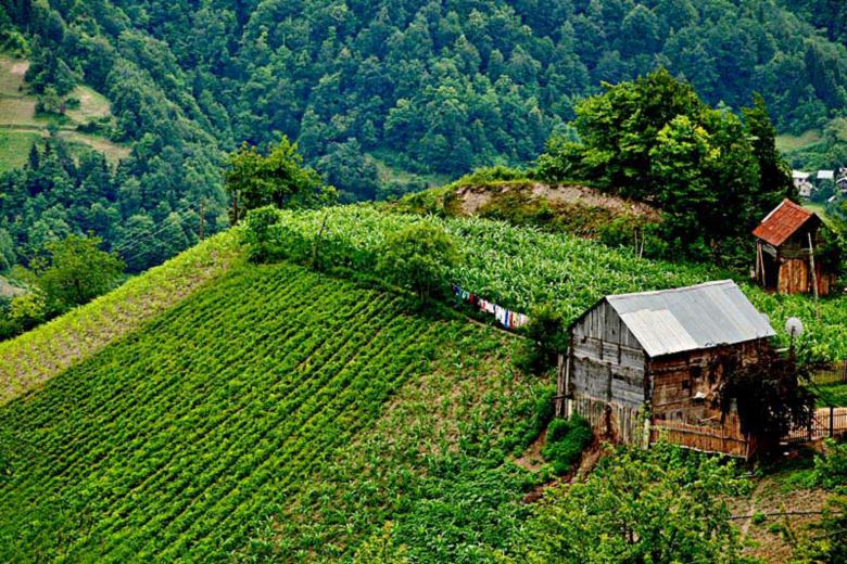 Free stock image of Shack on the Hill created by nino nin