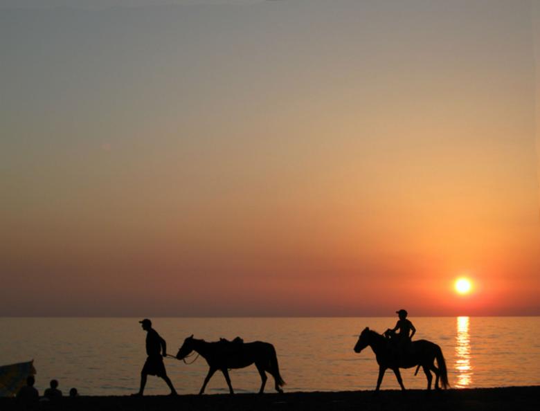 Free stock image of Horse Riding at Sunset created by nino nin
