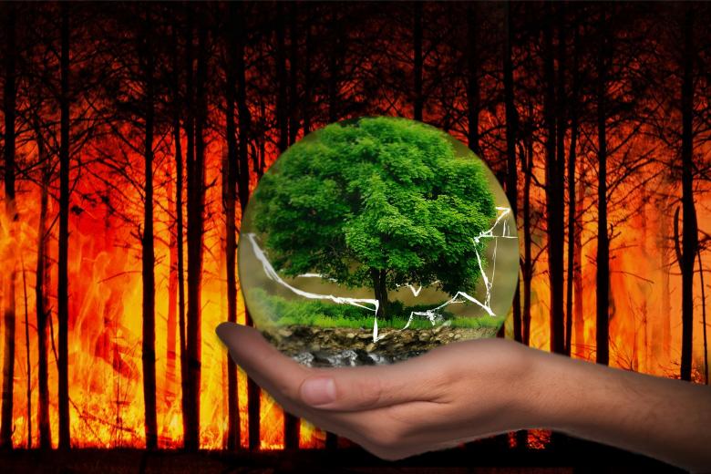 Free stock image of Earth Protection created by PaSoNeCa