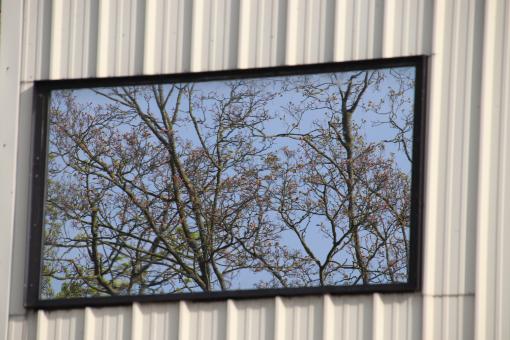 Free Stock Photo of Reflection of trees in a huge mirror