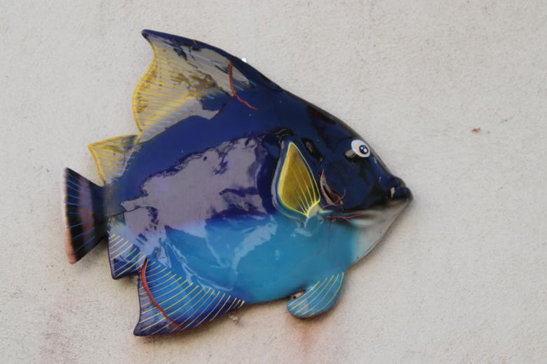 Free stock image of Porcelain fish created by GAIMARD Jacques