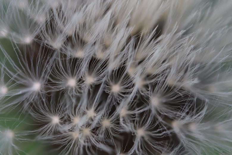 Free stock image of Strange texture... Isn't it?? created by GAIMARD Jacques