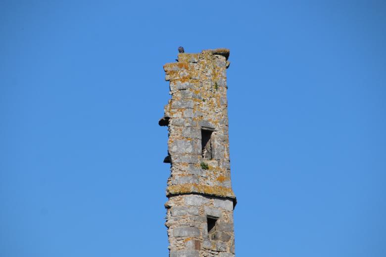Free stock image of What's left from the middle-age tower created by GAIMARD Jacques