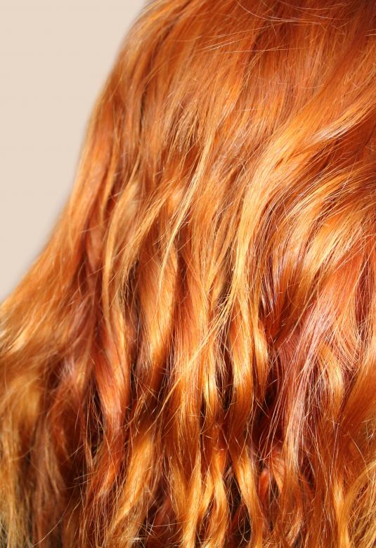 Free stock image of Shining curly red hair created by NomeVizualizzato