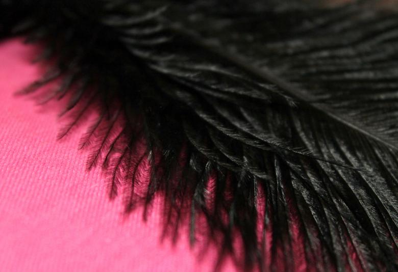 Free stock image of Black Feather created by NomeVizualizzato