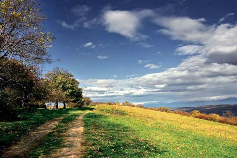 Free stock image of Nature Summer Landscape created by nino nin