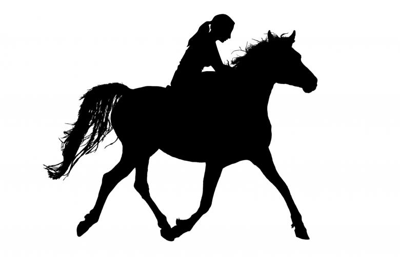Free stock image of Woman Riding Horse created by mohamed hassan