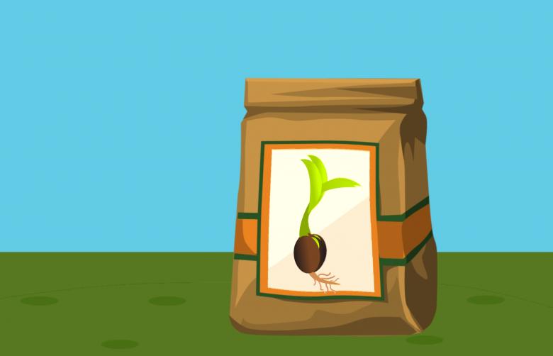 Free stock image of Bag of Seeds created by mohamed hassan