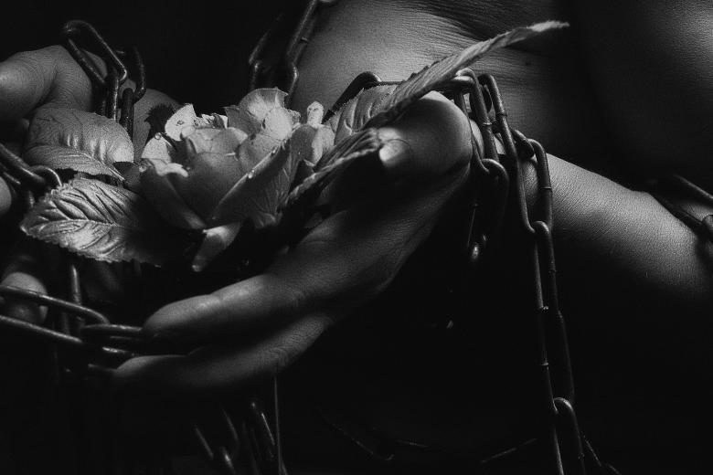 Free stock image of Rose and Chains - Black and White created by Alexander Krivitskiy