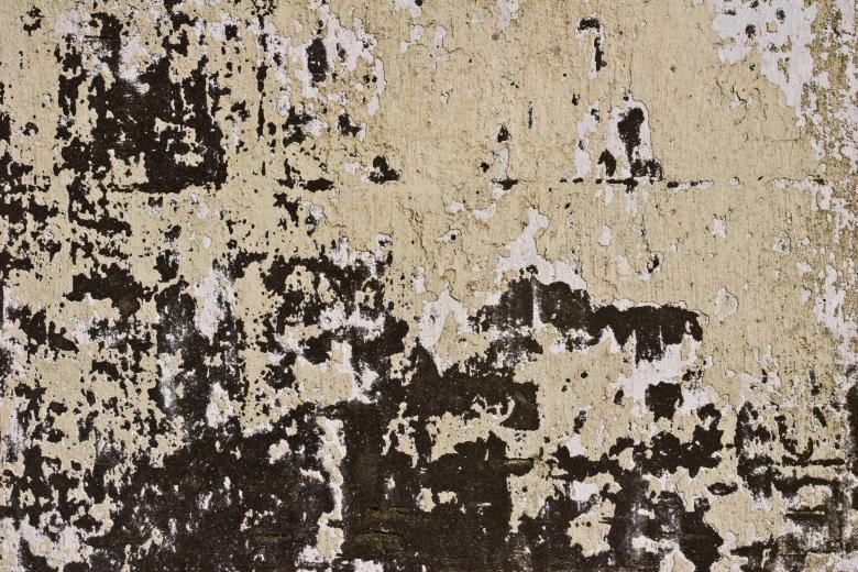Free stock image of Peeling Paint on Contrasting Grunge Wall created by Bjorgvin