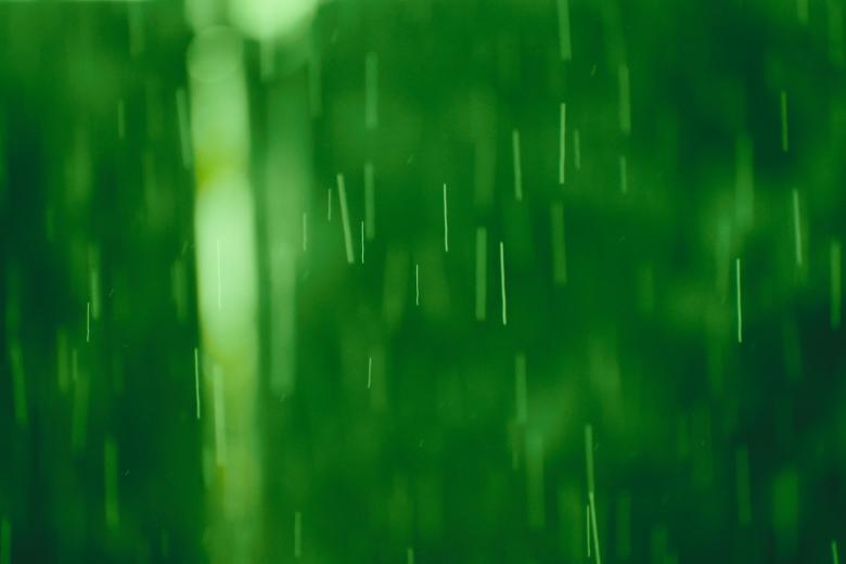 Free stock image of Green Rain Bokeh Background created by Mayank kumar satlewal