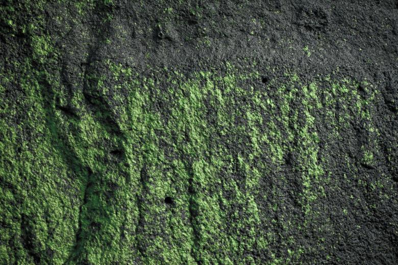 Free stock image of Green Slimy Rock Surface created by Bjorgvin