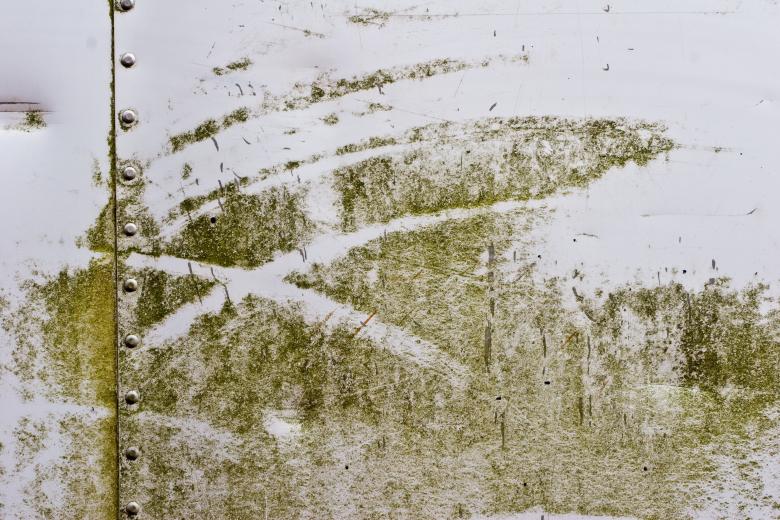 Free stock image of Green Dirt on White Metal created by Bjorgvin