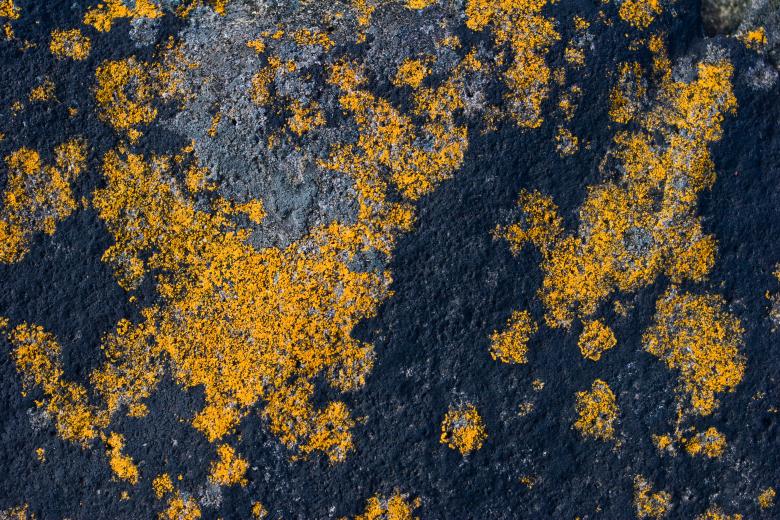 Free stock image of Yellow Spotted Rock created by Bjorgvin